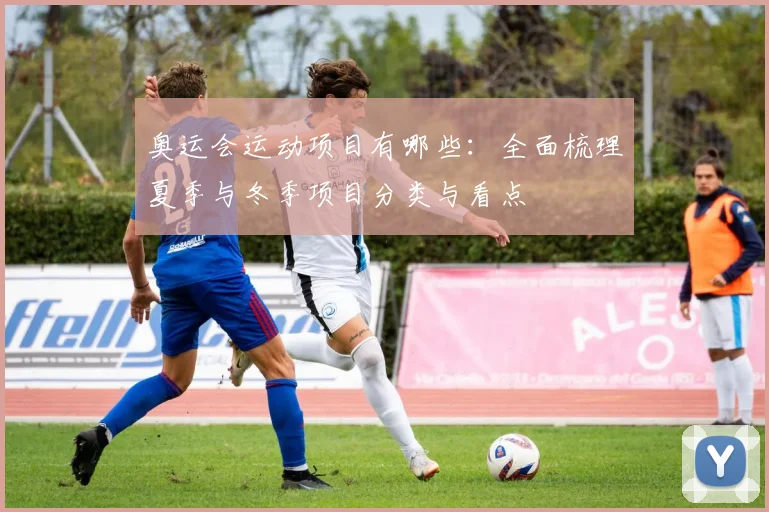 奥运会运动项目有哪些:全面梳理夏季与冬季项目分类与看点