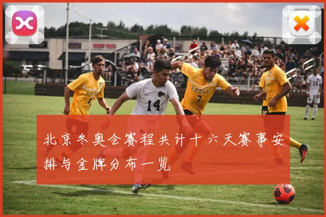 北京冬奥会赛程共计十六天赛事安排与金牌分布一览
