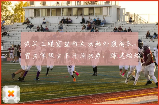 武汉三镇官宣两大功勋外援离队，曾为保级立下汗马功劳，球迷纷纷送上祝福_达兰_帕拉西奥斯_湖北