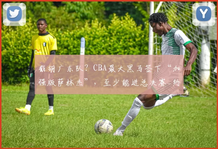 截胡广东队？CBA最大黑马签下“加强版萨林杰”，至少能进总决赛_约翰逊_广厦_山东